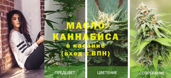 молекула духа Балахна