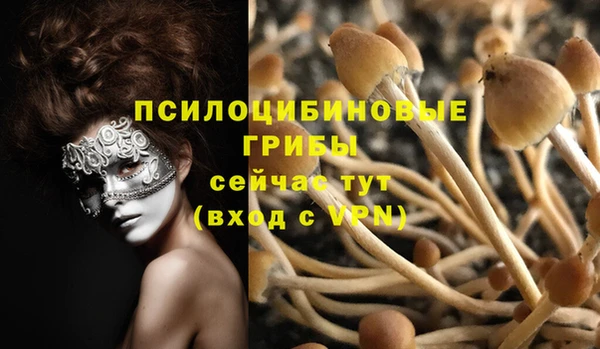 apvp Баксан