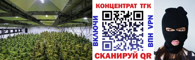 Дистиллят ТГК вейп с тгк  кракен как войти  Магас 